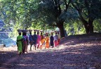 verso la risaia verso la risaia