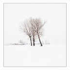 the first snow.... the first snow....
