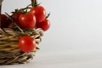 pomodori pomodori