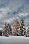 Inverno Inverno