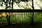 Istogramma Invernale Istogramma Invernale