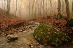 autunno autunno