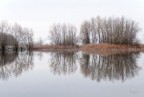 Simmetrie d'acqua Simmetrie d'acqua