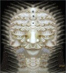 Il settecentesco  con spina dorsale