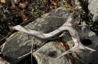 arte in natura