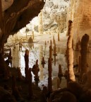 Suggerimenti e critiche sempre ben accetti

Dati scatto:
1/4 sec
F 4
ISO 800
25mm