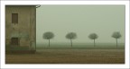 Luce invernale Luce invernale