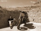 Ducatista Ducatista