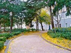...sentieri cittadini... ...sentieri cittadini...