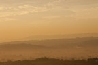Alba marchigiana