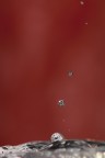 Drops in red Drops in red