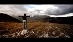 Like a Dream Like a Dream