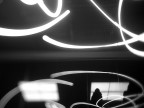 Black and light, Human and white. Black and light, Human and white.