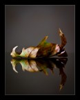 il riflesso il riflesso