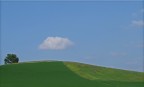 Windows? Windows?