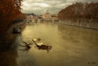 dopo la piena... dopo la piena...