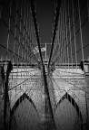 NY net NY net