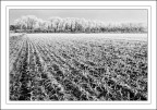Infrarosso...naturale Infrarosso...naturale