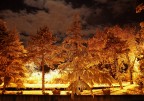 neve di notte neve di notte