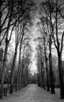 il viale il viale