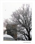 Ricami d'inverno... Ricami d'inverno...