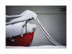 COLD COLD
