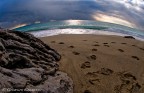 Il mare cancella Il mare cancella
