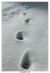lunar snow landscape lunar snow landscape