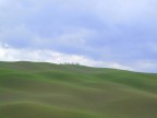 QUIRICO D'ORCIA