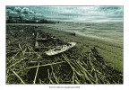 Pronte per la grande onda Pronte per la grande onda