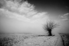 neve e nebbia 2 neve e nebbia 2