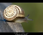 Stopo!! Paura del vuoto Stopo!! Paura del vuoto