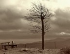Solitudine Solitudine