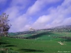 Mussomeli-Terra-di-Sicilia Mussomeli-Terra-di-Sicilia