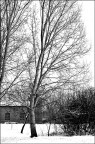 neve e desolazione neve e desolazione