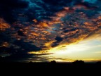 Alba Alba