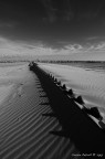 Il Mare d'Inverno Il Mare d'Inverno