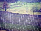 langhe a gennaio langhe a gennaio