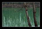Al fiume#2 Al fiume#2