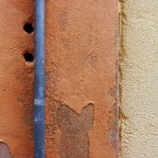 muro muro