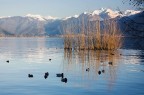 sole di gennaio sole di gennaio