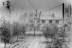 Nevicata Nevicata
