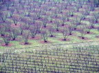 langhe a gennaio langhe a gennaio