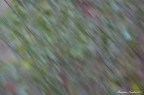 Astrattismo-in-movimento Astrattismo-in-movimento