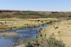 Etiopia Etiopia