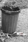 l'escluso l'escluso