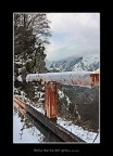 Nella Morsa del Gelo Nella Morsa del Gelo