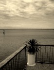 Aspettando il mare Aspettando il mare