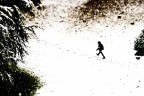 winter winter