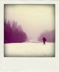 alone in the winter alone in the winter